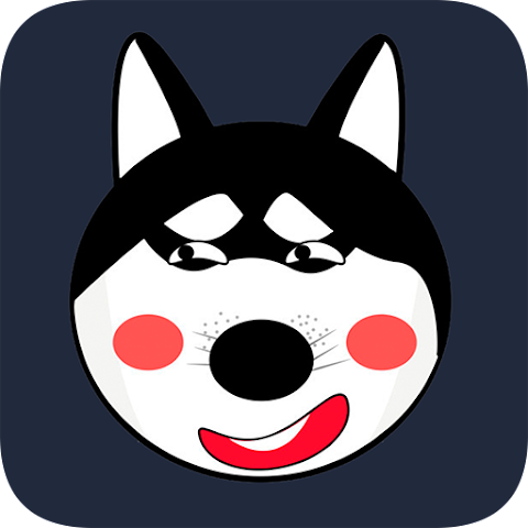 小哈vp破解版下载